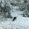 coosawx